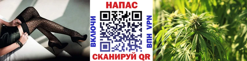 Купить наркотики сайты Заводоуковск Гашиш  Alpha-PVP  Мефедрон  Cocaine 