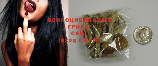 сатива Алексеевка