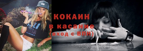 сатива Алексеевка