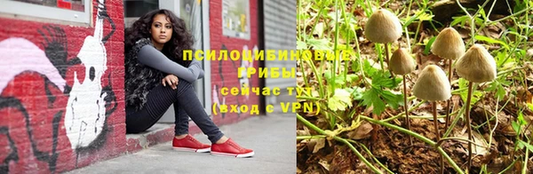 сатива Алексеевка