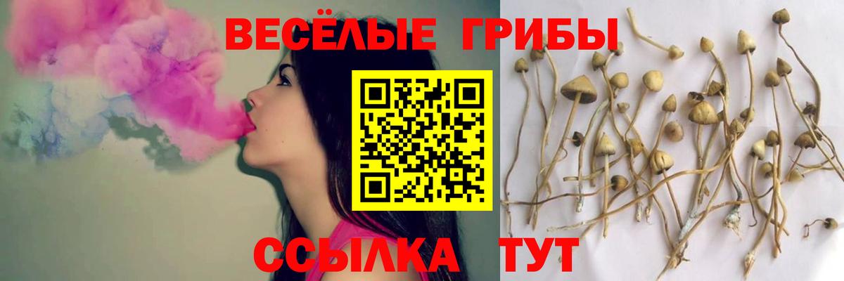 Галлюциногенные грибы Cubensis  Галлюциногенные грибы ЛСД  Заводоуковск  Вход с VPN 