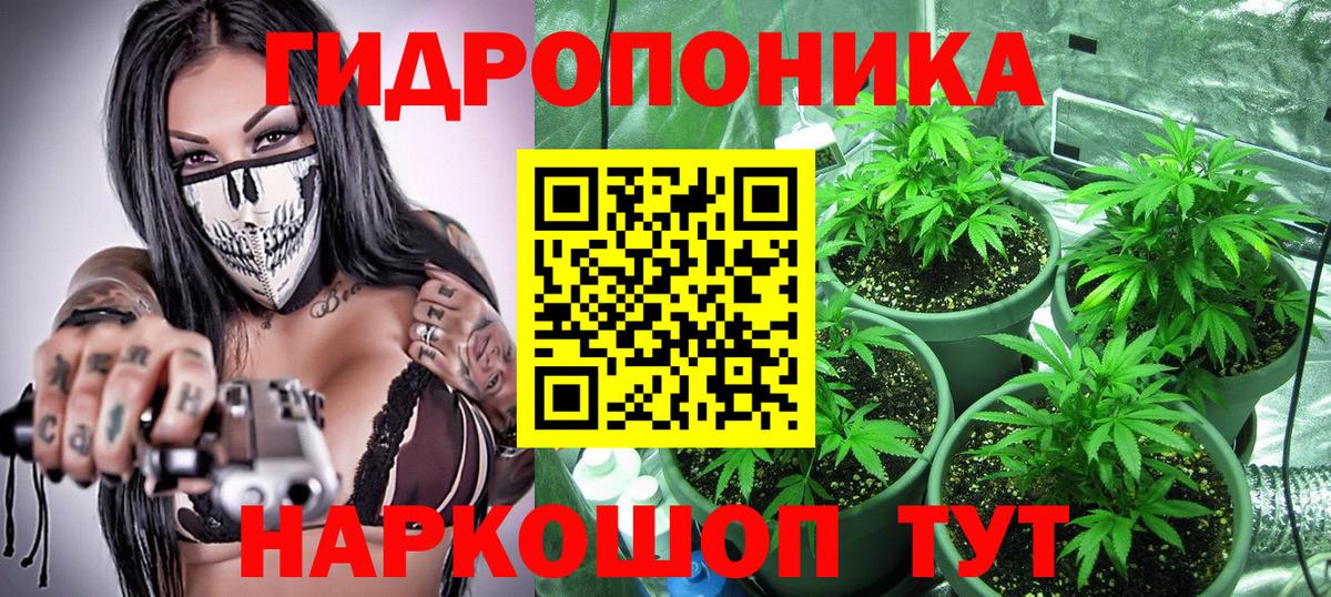 Марихуана марихуана  Вход с VPN  Конопля Bruce Banner  Заводоуковск  Бошки марихуана индика 